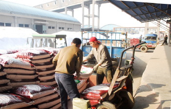 红日阿康"硫能"肥料销售忙